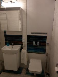 Łazienka w obiekcie apartament Fanaberia