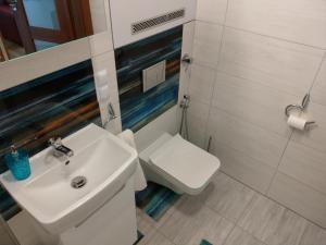 Łazienka w obiekcie apartament Fanaberia