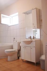 a bathroom with a toilet and a sink and a mirror at Nera Apartment in Brodarica