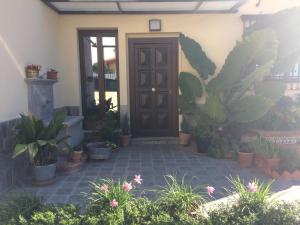 una porta d'ingresso di una casa con un mucchio di piante di Bonita casa en Barrio de Monachil a Granada