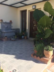 un patio con piante in vaso di fronte a una casa di Bonita casa en Barrio de Monachil a Granada