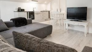 a living room with a couch and a flat screen tv at Best Stay- Pärnu With Garden in Pärnu