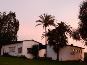 a house with two palm trees in front of it at The Old Mushroom Farm in Howick