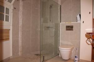 a bathroom with a glass shower with a toilet at Le Charme des Dunes in Arcachon +23 photos