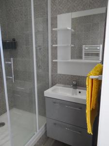a bathroom with a shower and a sink and a shower at Appartement Colonella in Bastia