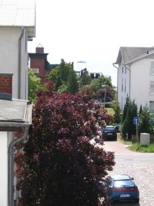 Une brousse avec des fleurs violettes sur le côté d'une rue dans l'établissement Villa Elfriede, à Sassnitz