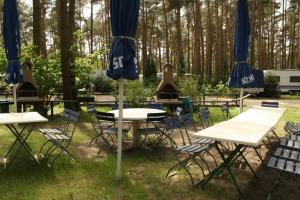 Afbeelding uit fotogalerij van Urlaub im Bungalow mitten im Wald in Lütow