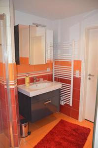 a bathroom with a sink and a mirror at Schilfdachvilla Zeesboothaus WE308 in Kleinhagen