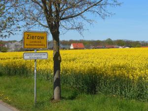 a yellow sign in front of a rapeseed field at Schwedenrotes Ferienhaus Wismar in Zierow