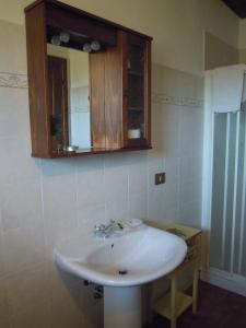 uma casa de banho com um lavatório branco e um espelho. em Cascina Formighezzo em Arquata Scrivia