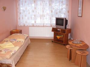 TV a/nebo společenská místnost v ubytování Hotel Štadión