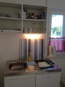 eine Küche mit einer Spüle und einer Arbeitsplatte in der Unterkunft Petite Bellevue II in Baden-Baden