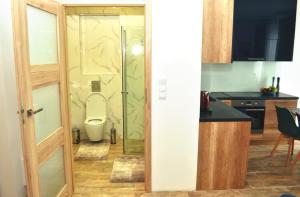łazienka z toaletą w pokoju w obiekcie Windrose Apartment w Świnoujściu +15 zdjęć