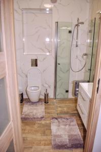 シフィノウイシチェにあるWindrose Apartmentのバスルーム(トイレ、ガラス張りのシャワー付)
