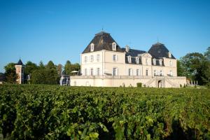 a large house on top of a field of vines at Château & Spa de la Cueillette in Meursault