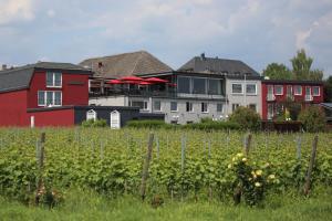 un gruppo di edifici e un campo di uve di Nägler´s Fine Lounge Hotel a Oestrich-Winkel