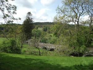 a bridge in the middle of a field with trees at caravan nestled away amongst trees on edge of farm yard in Bala