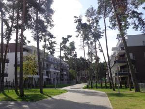 ポゴジェリツァにあるMorski22のヤシの木や建物が並ぶ空き道