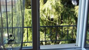 Zahrada ubytování B&B Il Paiolo