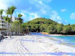 uma praia de areia com palmeiras e um resort em Beachfront Cottage em Gros Islet