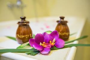Kuvagallerian kuva majoituspaikasta Inle Apex Hotel, joka sijaitsee kohteessa Nyaung Shwe
