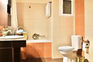 A bathroom at Meteora View Modern Apartments