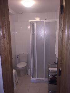 a bathroom with a toilet and a shower in it at Apartamentos Casa de la Abuela in Potes