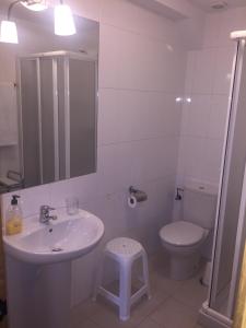 a bathroom with a sink and a toilet and a mirror at Apartamentos Casa de la Abuela in Potes