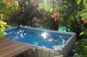 a swimming pool with a chair in a garden at Mundaka : Burnt Toast Surfcamp in Nosara +15 photos
