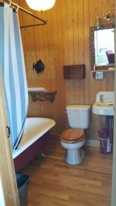 a bathroom with a toilet and a tub and a sink at Le Manoir du Vieux Presbytère in Port-Daniel