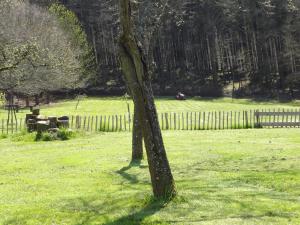 Zahrada ubytování An Hütten