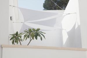 Fotografie z fotogalerie ubytování Storie di mare v destinaci Marsala