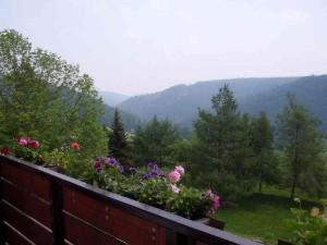 a balcony with flowers and a view of the mountains at Gasthaus & Pension Zum Hirsch in Gehlberg