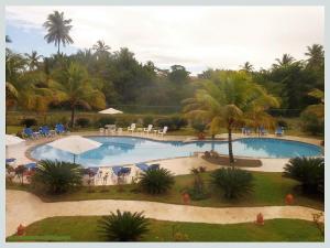 vistas a una piscina con sillas y una palmera en Luxury apartment with ocean view at the beach, en Cabarete