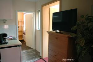 Μια τηλεόραση ή/και κέντρο ψυχαγωγίας στο Monteur - Budget Apartments Freital +15 φωτογραφίες