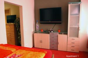 Μια τηλεόραση ή/και κέντρο ψυχαγωγίας στο Monteur - Budget Apartments Freital