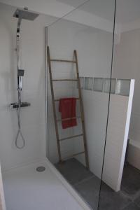 a shower with a ladder and a glass shower door at Gîte Le Margautier classé 3 étoiles proche Lamotte Beuvron in Saint-Viâtre