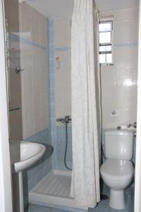a bathroom with a toilet and a sink and a shower at Eleni Houses in Kómboi +22 photos