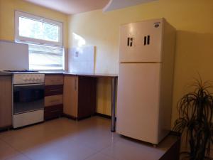 Kuchyň nebo kuchyňský kout v ubytování Uzh Apartments