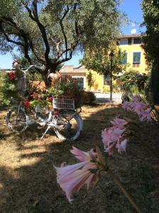 una bicicletta parcheggiata in un cortile con fiori di Bed & Breakfast Lucca Fora a Capannori