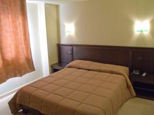 1 dormitorio con 1 cama y 2 luces en la pared en Hotel Gio en Arad