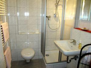 a bathroom with a shower and a toilet and a sink at Ferienwohnung Schlupp in Dresden