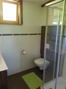 a bathroom with a toilet and a glass shower at Hoamalm in Grossarl