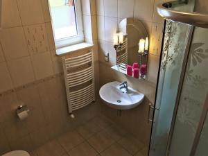 mała łazienka z umywalką i lustrem w obiekcie Pokoje Gościnne w Dolinie Szczęścia w Szklarskiej Porębie +21 zdjęć