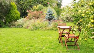 サン・マルセルにあるLa Maison d'Alexiaの庭園内のテーブルと椅子2脚