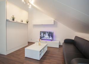 ein Wohnzimmer mit einem Sofa und einem TV in der Unterkunft Margaritenweg 31-F, Winterberg-Niedersfeld in Winterberg