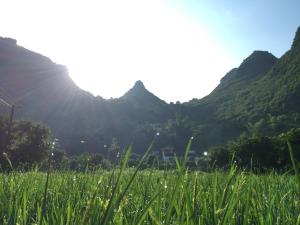 a field of grass with mountains in the background at Zen Box House in Yangshuo