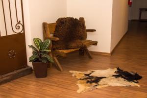 a chair sitting on a wooden floor next to a plant at Dalle Hotel in Bagé