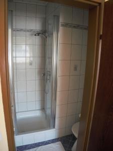 een badkamer met een douche en een toilet bij Familienparadies Zeislerhof in Glanegg