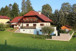 una casa con techo rojo en un campo verde en Ferienwohnung Seiringer en Attersee am Attersee